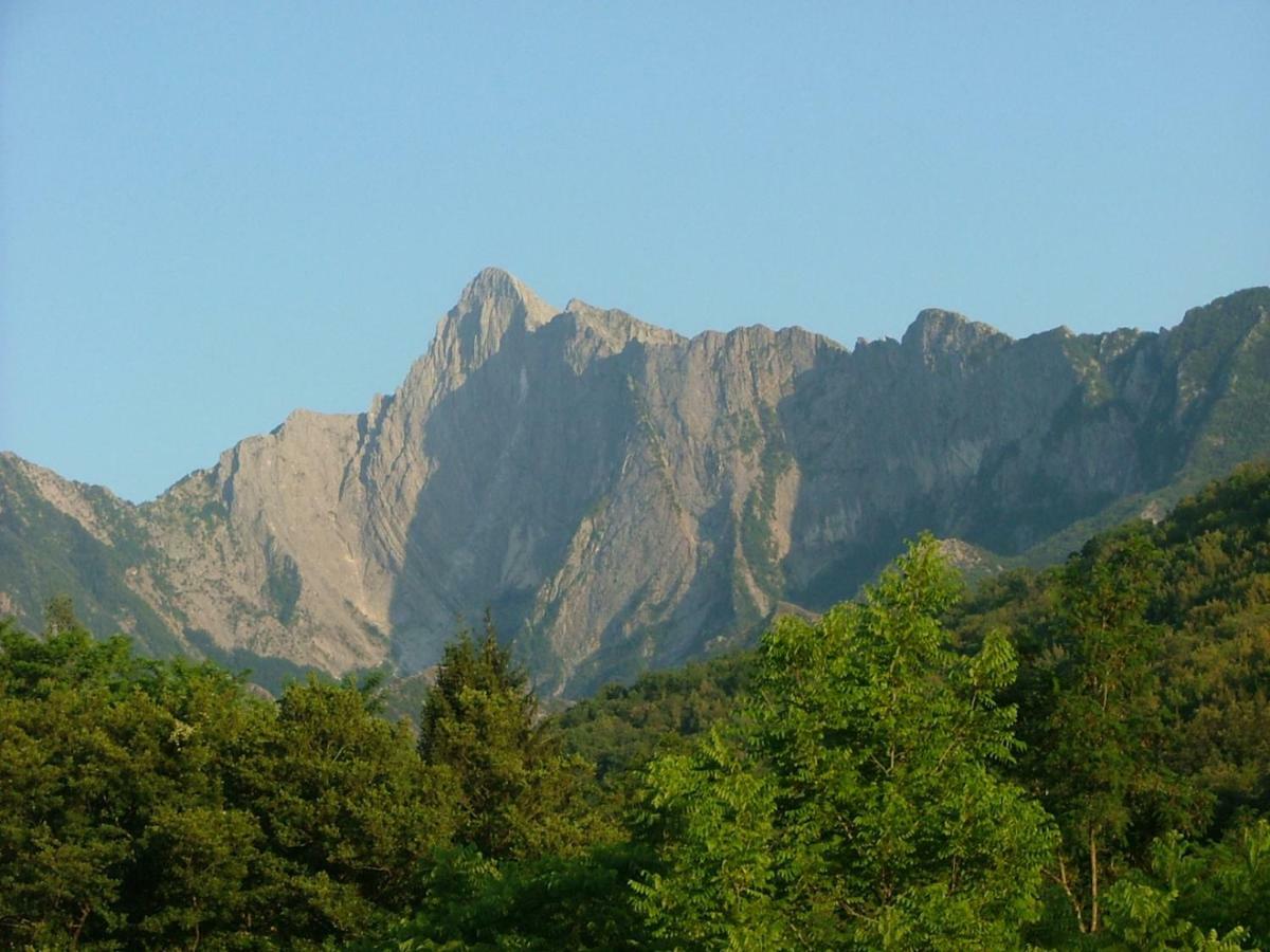 Monnalisa *